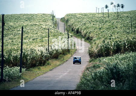 Ortsstraße mit Mini Moke windet sich durch Mitte des grünen Zuckerrohrfeldern auf St Kitts Caribbean Westindien Stockfoto