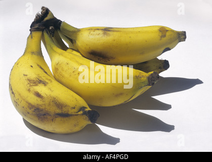 Banane Frucht Musa Sapientum paradiesischen Haufen Stockfoto