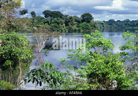 Klassische Fluss und Regenwald Landschaft im Amazonasgebiet von Brasilien Stockfoto