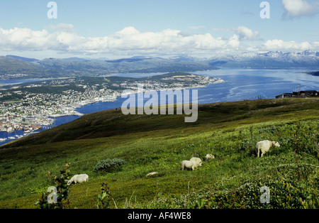 Blick auf Tromsø aus der Spitze von Mount Storsteinen, Tromsø, Norwegen, Skandinavien Stockfoto