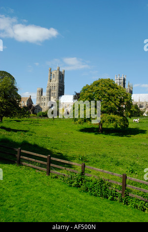Ely Cathedral und Park Ely Cambridgeshire England Stockfoto