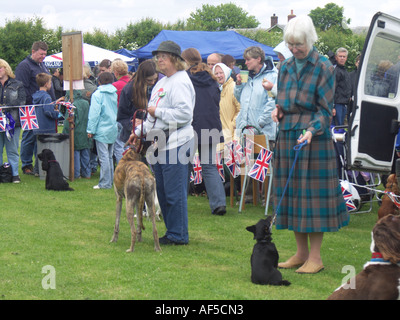 Dog Show Ay Sommerfest Suffolk England Stockfoto