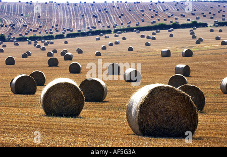 Heuballen punktieren der South Downs in Sussex an einem warmen und sonnigen Sommernachmittag Stockfoto