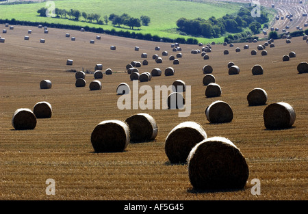 Heuballen punktieren der South Downs in Sussex an einem warmen und sonnigen Sommernachmittag Stockfoto