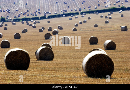 Heuballen punktieren der South Downs in Sussex an einem warmen und sonnigen Sommernachmittag Stockfoto