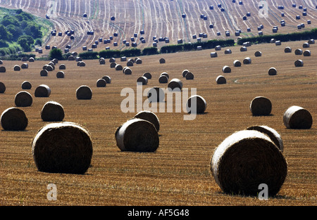 Heuballen punktieren der South Downs in Sussex an einem warmen und sonnigen Sommernachmittag Stockfoto