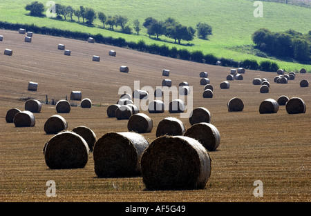 Heuballen punktieren der South Downs in Sussex an einem warmen und sonnigen Sommernachmittag Stockfoto