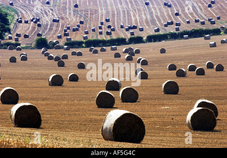 Heuballen punktieren der South Downs in Sussex an einem warmen und sonnigen Sommernachmittag Stockfoto