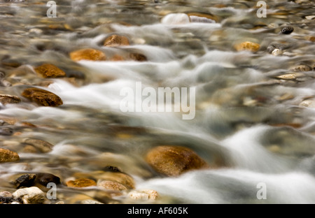 Felsbrocken und rauschenden Wasser im Mosquito Creek, Banff Nationalpark, Alberta, Kanada Stockfoto