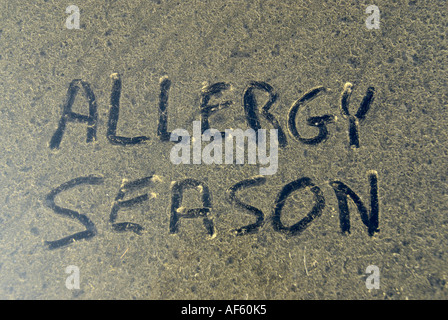 Allergie-Saison-Worte Pollen angesaugt angesammelt, auf die Motorhaube des Autos Stockfoto