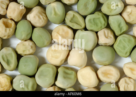 Erbse Samen grün, gelb, glatt, faltig, Charakterzüge, die Gregor Mendel in seiner Genetik Vererbung Experimenten untersucht. Stockfoto