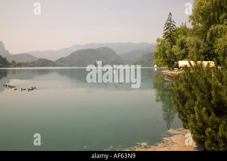 BLED Slowenien Europäische UNION Juni auf der Suche über den sehr still See in Richtung der Kirche auf der Insel und den Julischen Alpen Stockfoto