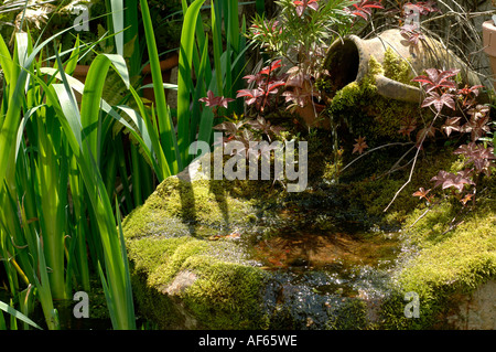 RIS Blätter und Moos bedeckt, Topf und großen Stein als ein Teich Wasserspiel Stockfoto