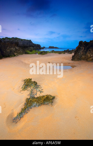 Küste von Ris Beach, Noja, Kantabrien, Spanien, Costa de la Playa de Ris, Noja, Kantabrien, España Stockfoto