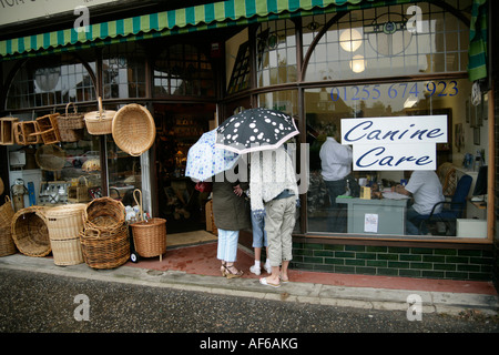 High Street Shopper Blick durch tierärztliche Schaufenster unter dem Regen Connaught Avenue Frinton am Meer Essex England UK Stockfoto