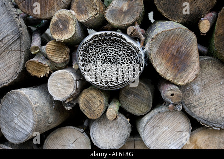 Insekt oder Bug Hotel hergestellt aus Kunststoff-Flasche und Roll von Wellpappe in Log Haufen Cotswolds UK Stockfoto