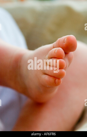 Vertikale Nahaufnahme eines kaukasischen Babys winzige rosa Fuß und Zehen. Stockfoto