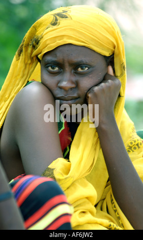 Somalischen Nomaden mit Kamelen, um ihre ganze Häuser in Wajir, nordöstlichen Kenia, Afrika zu tragen. Stockfoto