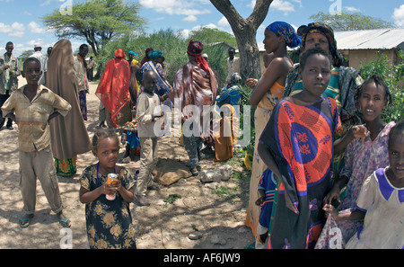 Somalischen Nomaden mit Kamelen, um ihre ganze Häuser in Wajir, nordöstlichen Kenia, Afrika zu tragen. Stockfoto