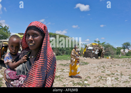 Somalischen Nomaden mit Kamelen, um ihre ganze Häuser in Wajir, nordöstlichen Kenia, Afrika zu tragen. Stockfoto