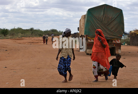 Somalischen Nomaden mit Kamelen, um ihre ganze Häuser in Wajir, nordöstlichen Kenia, Afrika zu tragen. Stockfoto