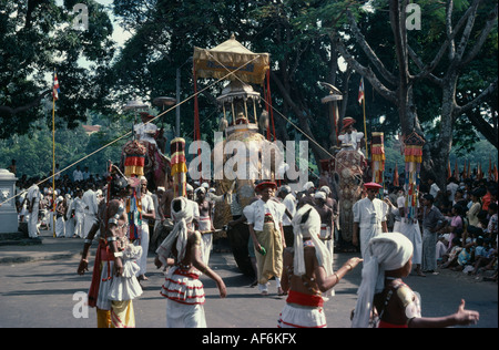 SRI LANKA in Südasien Kandy Esala Perahera hinduistische Festival Parade mit geschmückten Maligawa Tusker Elefant Tänzer und Trommler Stockfoto