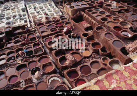 Marokko in Nordafrika Fes Chouwara Gerbereien Männer arbeiten an der Gerber-Box Stockfoto