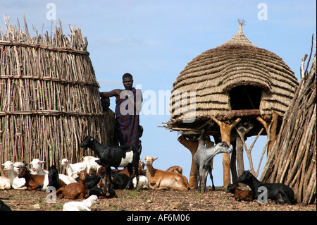 Geographie/Reisen, Südsudan, Menschen, toposa Mann mit Ziegen, in der Nähe von Nyanyagachor, Additional-Rights - Clearance-Info - Not-Available Stockfoto