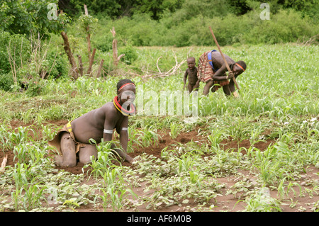 Geographie/Reisen, Südsudan, Landwirtschaft, toposa Dorf, in der Nähe von Nyanyagachor, zwei Frauen arbeiten auf dem Feld, Ostafrika, dem südlichen Sudan, Sorghum, Hirse, Landwirtschaft, Menschen, Additional-Rights - Clearance-Info - Not-Available Stockfoto