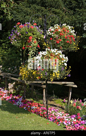Hängenden Körben von Blumen im öffentlichen Gärten Wales UK Stockfoto