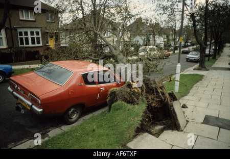 Sturmschäden nach dem großen Sturm von 87 Stockfoto