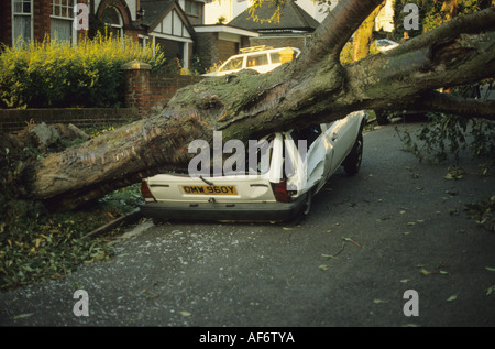 Sturmschäden nach dem großen Sturm von 87 Stockfoto