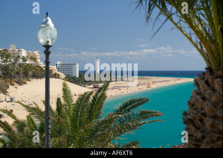 Playa de Sotavento de Jandia Morro Jable Fuerteventura Kanaren Spanien Stockfoto