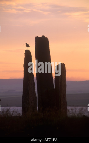 Der Ring of Brodgar, Orkney-Inseln Stockfoto