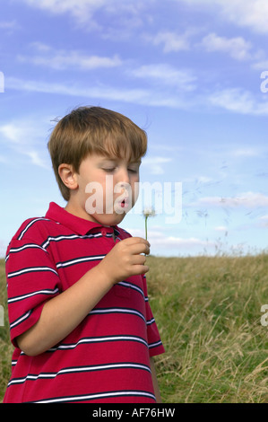 Kleiner Junge bläst die Samen von einem Löwenzahn Stockfoto