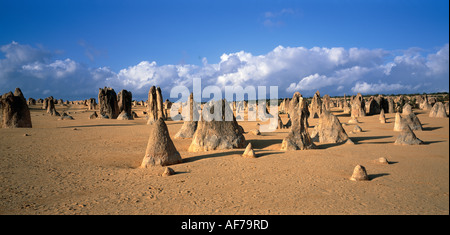 Western Australia. Namburg Nationalpark. Die Pinnacles Felsformationen. Stockfoto