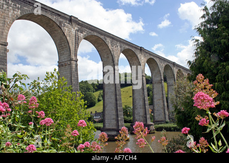 Calstock Viadukt über den Fluss Tamar, Cornwall, UK, Europa Stockfoto