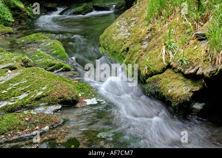 Schnell fließenden Fluss zwischen Felsen, Devon, UK, Europa Stockfoto