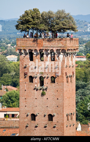 Touristen auf dem Torre (Turm) dei Guinigi in Lucca, Toskana, Italien. Die Bäume wachsen von oben, sind Steineichen. Stockfoto