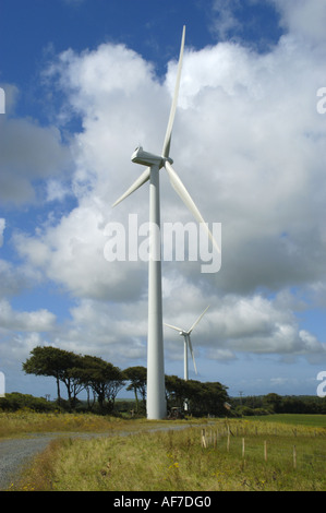 Bradworthy Windpark in North Devon England Stockfoto