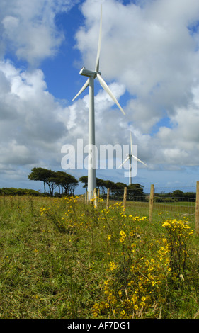 Bradworthy Windpark in North Devon England Stockfoto