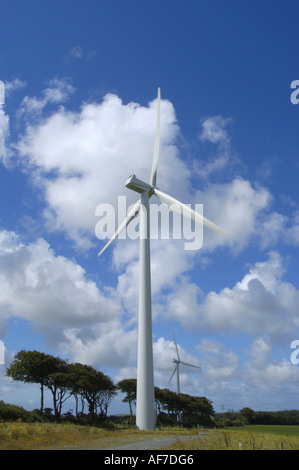 Bradworthy Windpark in North Devon England Stockfoto