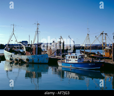 Angelboote/Fischerboote, Holyhead Fisch andocken, Anglesey, North Wales, UK Stockfoto