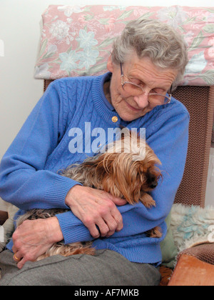 ältere Frau Getue ihr schlecht Haustier Yorkshire Terrier Hund Stockfoto