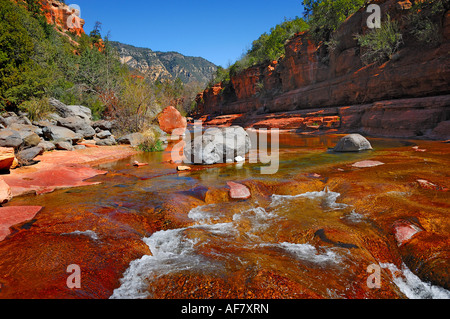 Der Canyon am Slide Rock State Park in Sedona, Arizona USA nachschlagen Stockfoto