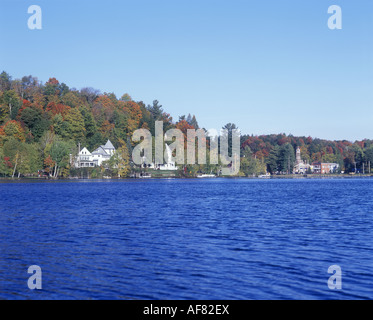 BLUME SARANAC SEE ADIRONDACKS NEW YORK STATE USA Stockfoto