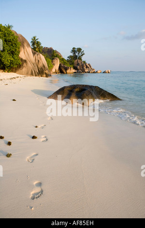 Fußabdrücke auf Anse Source d ' Argent Beach, Insel La Digue, Seychellen Stockfoto