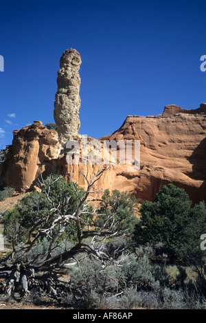 Kodachrome Basin State Park in der Nähe von Bryce, Utah, USA Stockfoto