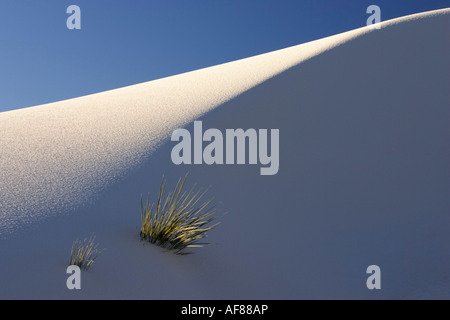 Düne, Licht und Schatten, Gips Dünenfeld, White Sands National Monument, New Mexico, USA Stockfoto