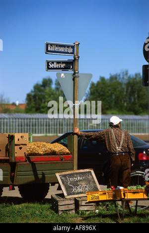 Mann, Verkauf von Gemüse in Knoblauch Land, Nürnberg, Franken, Bayern, Deutschland Stockfoto